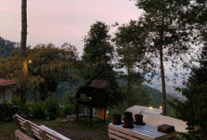 Starcamp Glamping Ipukan dan Green Hill Glamping: Pilihan Glamping Terbaik di Palutungan, Kuningan!