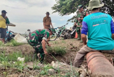 Sinergi Gropyokan Basmi Hama Tikus