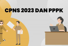  Rekrutmen  CASN 2024, Pemerintah Berikan  Ruang  Buat Talenta Digital 