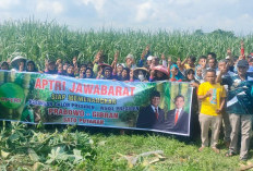 Petani Tebu Siap Menangkan Prabowo-Gibran Satu Putaran 