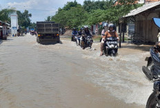 Dampak Banjir di Cirebon Timur: 6 Ruas Jalan Rusak, Biaya Perbaikan Rp13 Miliar Lebih