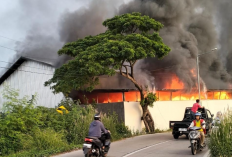 Kerugian  Hingga Rp300 Juta, Satu Ton Bahan Baku Rotan Ludes Terbakar, Satu Jam Api  Berhasil Dipadamkan