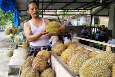 Festival Durian di Cibuntu, Desa Wisata di Kuningan  yang Sudah Diakui Dunia