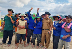 Sulap Lahan Tandus Jadi Lahan Pertanian Produktif