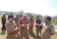 Sawah di Singkup Kekeringan