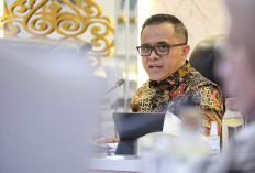 Muncul Kendala, Menteri PANRB Pastikan Pelamar CPNS 2024 Tak Ada yang Dirugikan