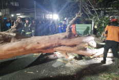 Fenomena Angin Kencang di Cirebon dan Sekitarnya, Dipengaruhi Angin Kumbang Gunung Ciremai