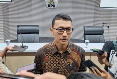 Terima 1.432 LHKPN, KPK Ungkap 107 LHKPN Calon Kepala Daerah Belum Lengkap