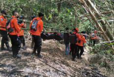 Akhirnya, Tim SAR Temukan  Pria Lansia Sudah Meninggal