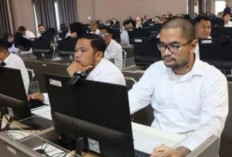 Pendaftaran PPPK 2024 Gelombang Pertama Dibuka, Honorer Wajib Daftarkan Diri