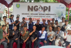 DKPP Dorong Budi Daya Padi Organik