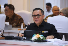 Seleksi CPNS 2024, Formasi Talenta Digital untuk Penempatan di IKN