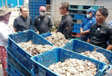 Bau Menyengat, Tim Gabungan Tutup Pabrik Ikan di Kandanghaur 
