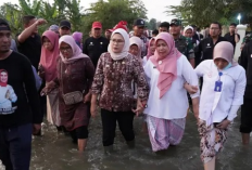 Bupati Nina Cek Lokasi Banjir di 2 Desa, Kirim Satu Unit Alat Berat 