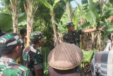 Dapat Bantuan Pompanisasi, Dandim 0616 Indramayu Langsung Cek ke Petani