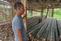  Ternyata Ini yang Membuat Jongkir Penjual Bambu Laris dan Banyak Pesanan