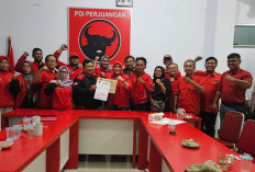 Fitria Kantong Surat Tugas untuk Pilkada 2024 dari PDIP, Kader Banteng Diminta Patuh