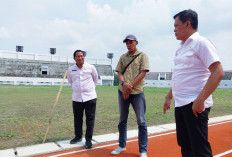 Target Dipakai sebelum AMJ Bupati, Sekda Tinjau Pemeliharaan Rumput Stadion Watubelah 