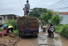 Harga Bawang Merah Rp15 Ribu per Kilo tak Bisa Cukupi Biaya Produksi