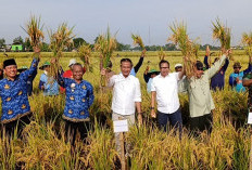 Kolaborasi Tingkatkan Produktivitas Pertanian