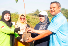 PPPK Kota Cirebon Tanam 350 Pohon di eks TPA Grenjeng