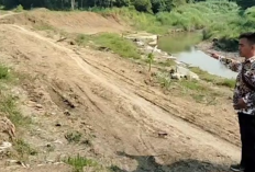 Saluran Air Terputus, 100 Hektare Sawah di Desa Beringin Gagal Panen