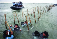 Bangun Tanggul Laut Raksasa 700 Km