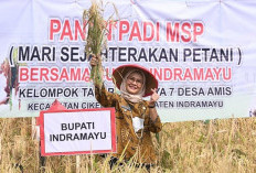 Antisipasi Darurat Pangan Nasional