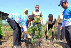 Sebagai Bentuk Kepedulian Lingkungan, Ini Yang Dilakukan PT Pelindo Regional 2 di Areal Eks TPA Grenjeng