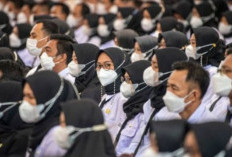 AUTO LOLOS, Formasi PPPK 2024 di Daerah Ini Melebihi Pelamar, Honorer Langsung Jadi ASN