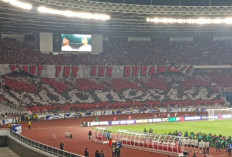 Steward Ricuh dengan Supporter, Inilah Fungsi, Tugas dan Tangung Jawabnya dalam Pertandingan