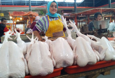 Sepekan Jelang Ramadan, Harga Daging Ayam Terus Naik, Pedagang Hanya Bisa Pasrah
