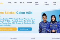 Cara Mengecek Nama di Database BKN Sebelum Mendaftar PPPK 2024: Pelamar Wajib Tahu!