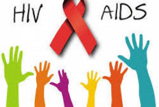  Di Kelurahan Kesambi, Penyebaran HIV  Lewat Hubungan Seks 