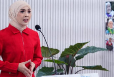 Gunakan Pendorong Kursi Resmi