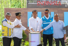 Jokowi Tandai Pembangunan PLN Hub di Jantung IKN