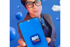 Tak Perlu Nomor Rekening! Fitur Baru BRImo untuk Transfer Balik BRI dengan QRIS