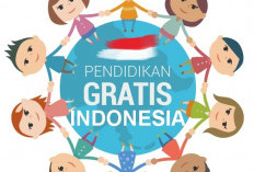 Menyoal Pendidikan Dasar Gratis