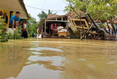 1.300 Rumah Terendam, 3.500 Jiwa dari Tiga Desa di Kecamatan Kertajati Terdampak Banjir