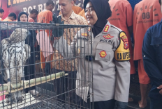 Polresta Cirebon Berhasil Bongkar Perdagangan Satwa Liar Dilindungi di Kecamatan Kaliwedi 