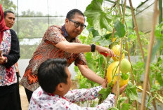 Optimalisasi Sektor Pertanian