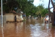 Ratusan Hektar Sawah Terendam Banjir, Desa Karanggetas Paling Parah 