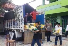 Intensifkan Operasi Pasar Khusus Beras