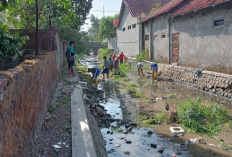 Program Launching My Darling, 50 Warga Ikut Bersihkan Sungai Citangkurak