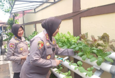 Ajak Manfaatkan Pekarangan untuk Tanam Pangan Bergizi