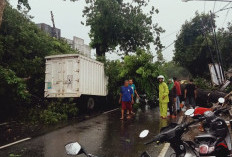 Pohon Mahoni Tumbang,  Sopir Mobil Boks Tewas 
