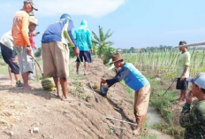 Atasi Serangan Hama Tikus, Petani di Desa Plosokerep Lakukan Gerdal 