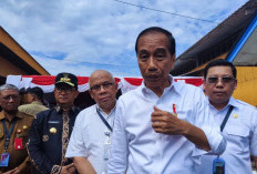 Presiden Jokowi Angkat Bicara tentang Harga Beras