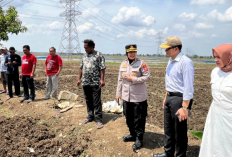 Viral Ada Makam di Tengah Jalan Ujunggebang-Luwungkancana, Pemkab Cirebon Segera Perbaiki