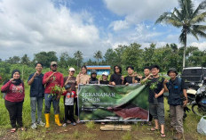 Mahasiswa Bareng Aktivis Lingkungan Aksi Penanaman Pohon